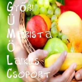 Gyümölcs csoport Gyümölcs csoport