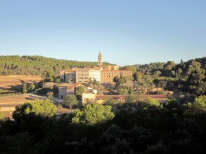 IMG_0361